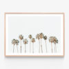 Palm-Line-Oak-Framed-Print