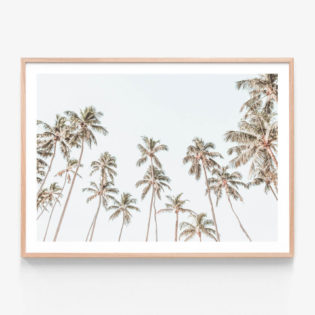 Caribbean-Sky-Oak-Framed-Print
