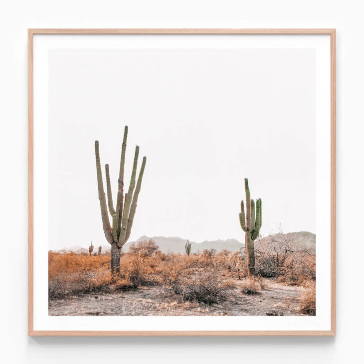 Arizona Saguaros Oak Framed Print