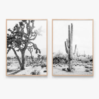 Print Set 16 NB Oak Framed Prints
