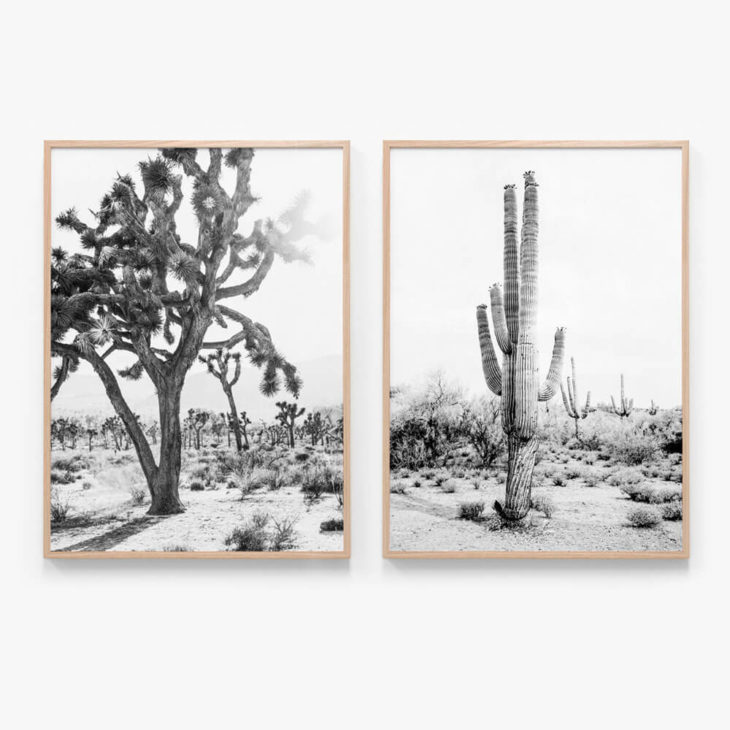 Print Set 16 NB Oak Framed Prints