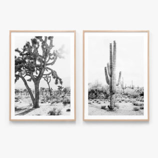 Print Set 16 Oak Framed Prints