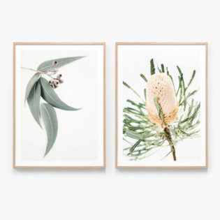 Print-Set-22-Oak-Framed-Prints