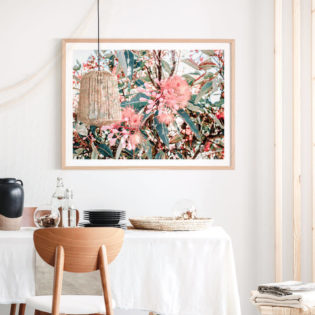 AUSTRALIAN-FLORALS-Lifstyle-Framed-Print