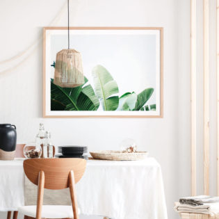 Banana-Palms-Lifestyle-Framed-Print