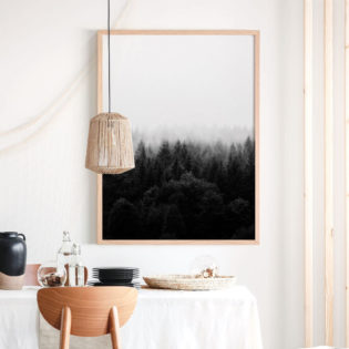 Black-&-White-Forest-Lifestyle-Framed-Print