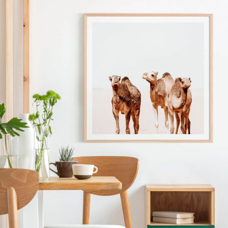 CAMEL-TRIBE-Lifestyle-Framed-Print