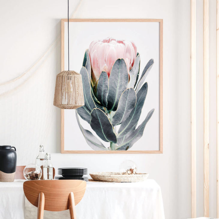 CLOSED-PROTEA-Lifestyle Framed Print