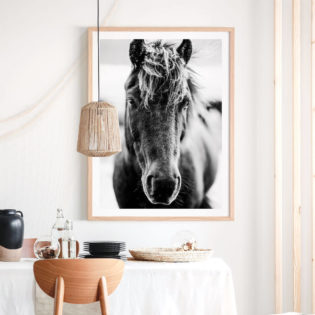 DARK-ICELANDIC-HORSE-Lifestyle-Framed-Print