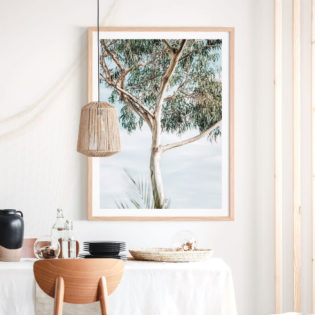 EUCALYPTUS-TREE-Lifestyle-Framed-Print