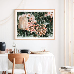 FLOWERING-GUM-Lifestyle-Framed-Print