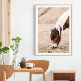 Forage-Lifestyle-2-Framed-Print