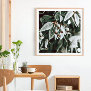 Gum-Leaves-Lifestyle-Framed-Print