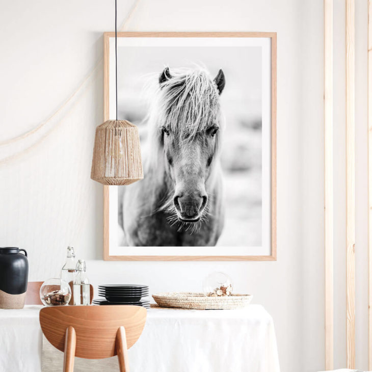 ICELANDIC-PORTRAIT-Lifestyle-Framed-Print