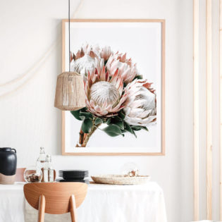 King-Protea-Bunch-Lifestyle Framed Prints
