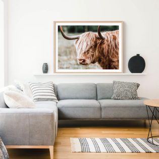 Lennox-Lifestyle-Framed-Print