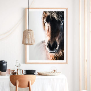 MISTED-PONY-Lifestyle-Framed-Print