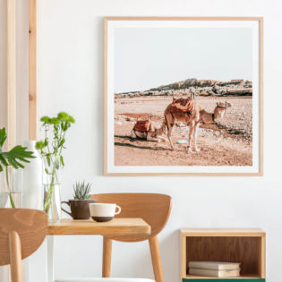 MOROCCAN-CAMELS-Lifestyle-Framed-Print