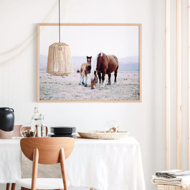 Mother-&-Foal-Lifestyle