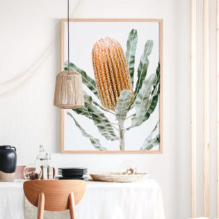 ORANGE-BANKSIA-Lifestyle Framed Print