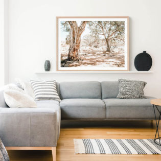OUTBACK-OASIS-Lifestyle-Framed-Print