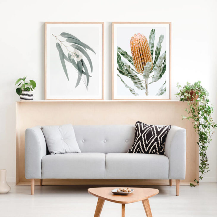 Orange-Banksia-Lifestyle-2 Framed Print
