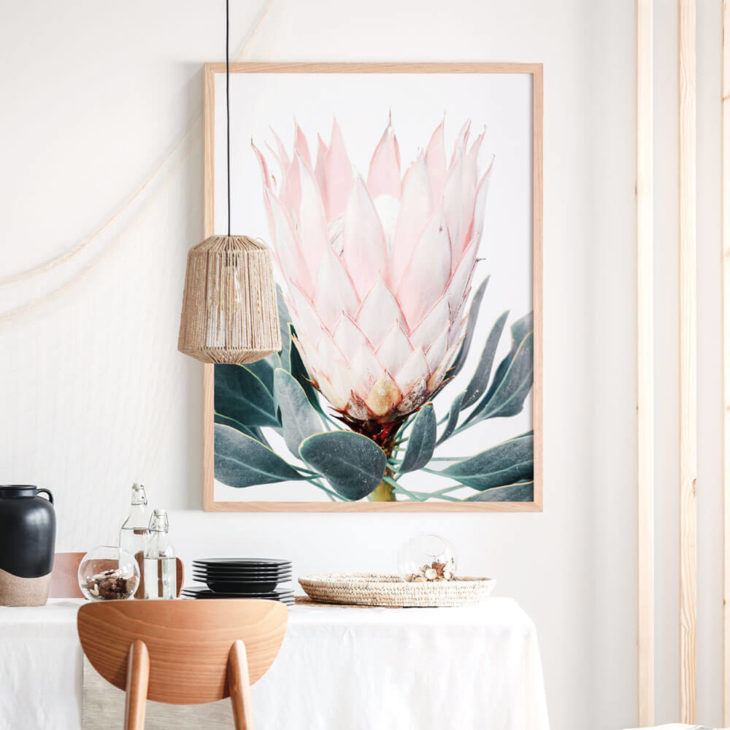 PINK-PROTEA-Lifestyle Framed Print