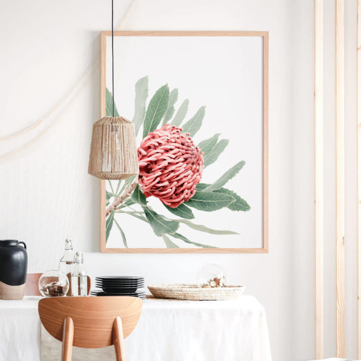 RED-WARATAH-Lifestyle Framed Print