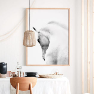 WHITE-STALLION-Lifestyle-2-Framed-Print