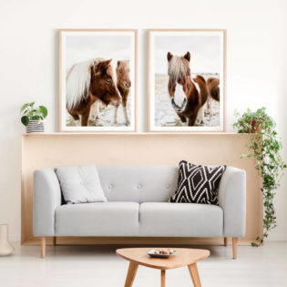 Wild-Horse-Lifestyle-Framed-Print