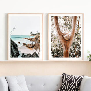 Byron-Coast-Dreaming-Koala-Lifestyle-Framed-Prints