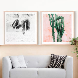 Cavort-B&W-Pastel-Cacti-framed-Prints-lifestyle