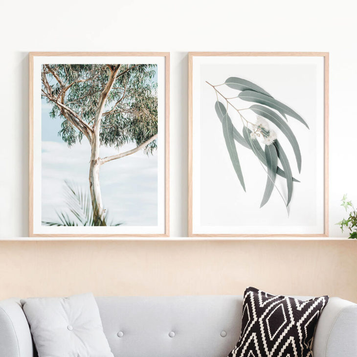 Eucalyptus-Tree-Lifestyle-Prints
