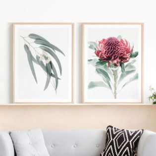 Light-Eucalyptus-Leaves-Scarlett-Waratah-Lifestyle-Prints