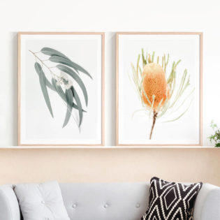 Light-Eucalyptus-Leaves-Yellow-Banksia-Lifestyle-Prints