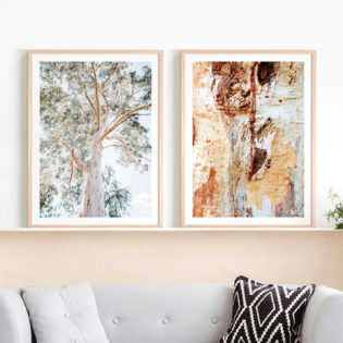 Majestic-Gum-Gum-Bark-Lifestyle-Framed-Prints