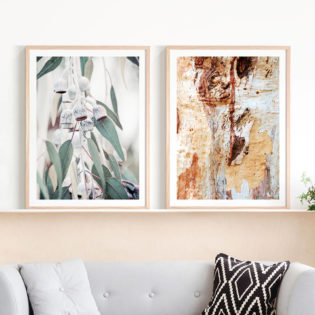 Native-Floral-Gum-Bark-Lifestyle-Framed-Prints