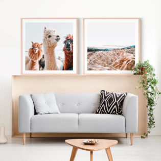 No-Drama-Llama-Lifestyle-Framed-Print