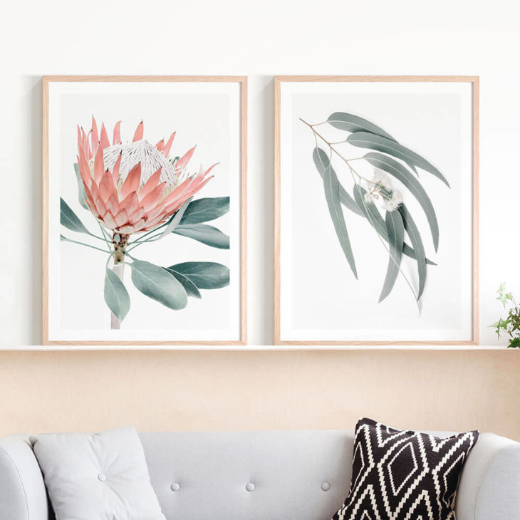 Peach-Protea-Light-Eucalyptus-Leaves-Lifstyle-Prints