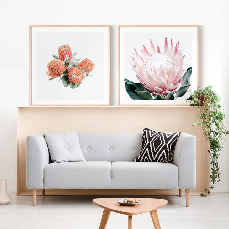Red-Banksia-King-Protea-II-Framed-Prints-Lifestyle