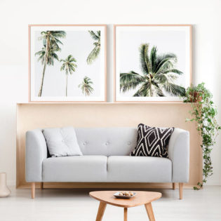 Summer Palms Framed Prints
