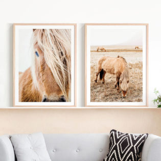 Wild-Pony-Tan-Mare-Lifestyle