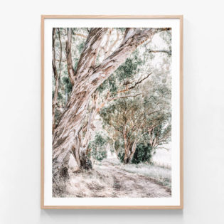 FP1183-Twisting-Gum-Oak-Framed Print