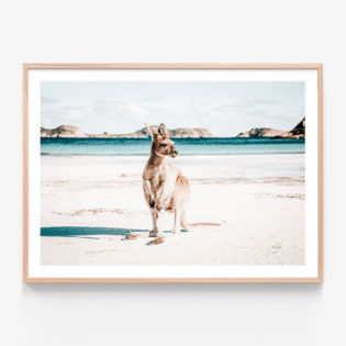 FP588-Beach-Paws-Oak Framed Print