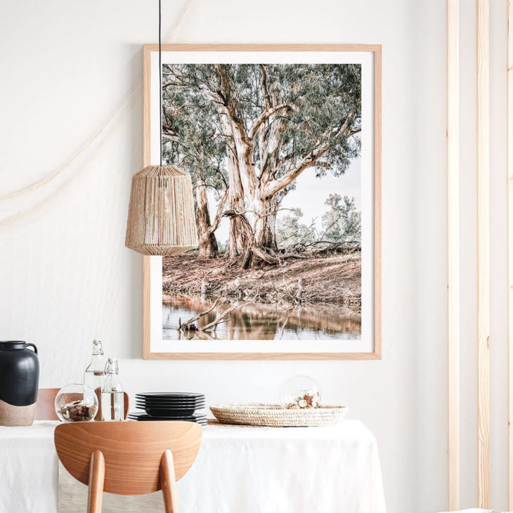 River-Red-Gums -Lifestyle-Framed-Print