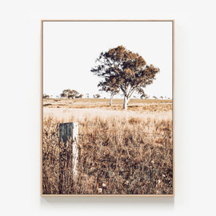 Outback-View-Oak-Framed-Canvas