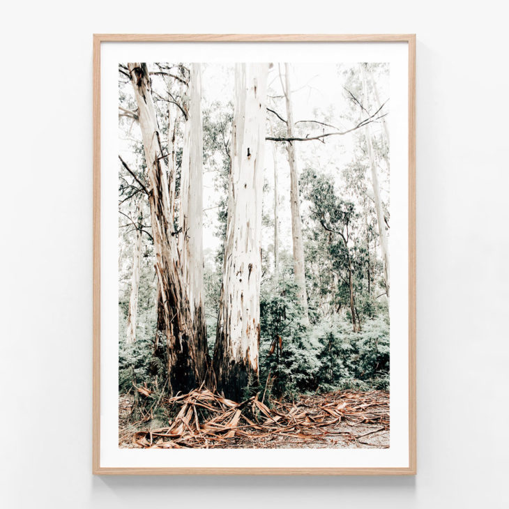 Alpine-Country-Oak-Framed-Print