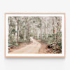 Bush-Tracks-Oak-Framed-Print