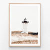 Cape-Cod-Oak-Framed-Print