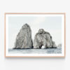 Capri-Oak-Framed-Print